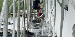 | 完工建案-雨排堵塞 |